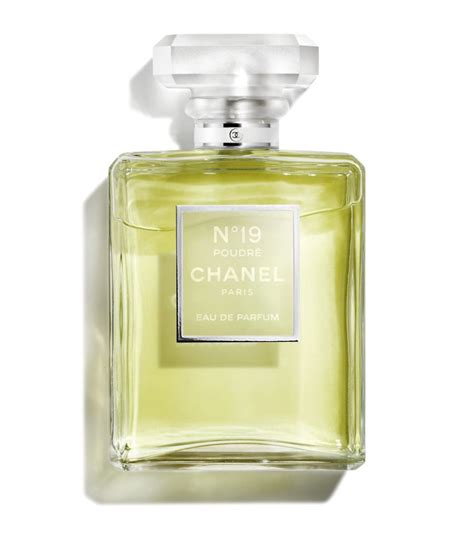 chanel no 19 poudre eau de parfum 100ml|Chanel 19 perfume refill.